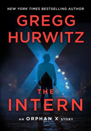 Cover of the book The Intern by Noëlle Sickels