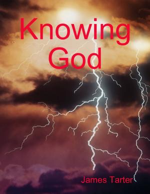 Cover of the book Knowing God by Eduard Osipov