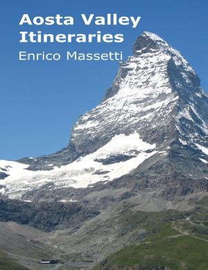 Cover of the book Aosta Valley Itineraries by Bill McClimont