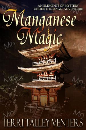 Cover of the book Manganese Magic by Benjamin Sobieck