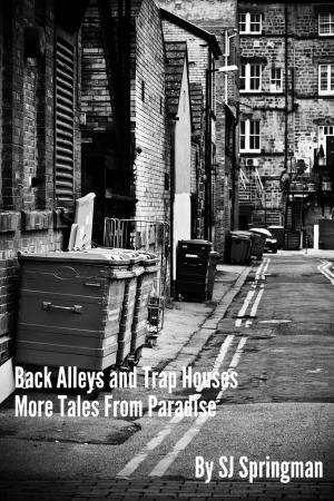Cover of the book Back Alleys and Trap Houses: More Tales From Paradise by Alexis de Tocqueville