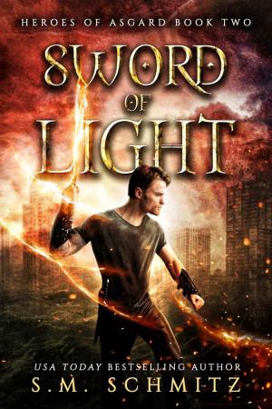Book cover of Sword of Light