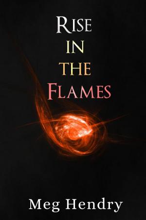 Cover of the book Rise in the Flames by Meg Hendry