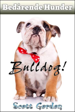 Cover of the book Bedårende Hunder: Bulldog by Scott Gordon