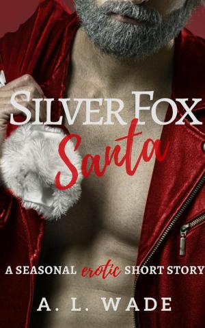Cover of the book Silver Fox Santa: a Seasonal Erotic Short Story by Nathalie Charlier