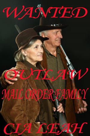 Book cover of Wanted: Outlaw Mail Order Family