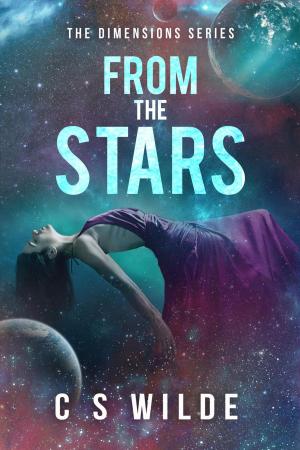 Cover of the book From the Stars by Sally Slayer