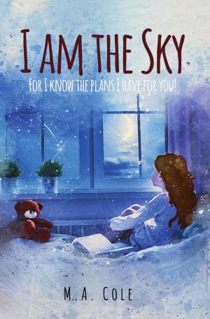 Cover of I Am The Sky