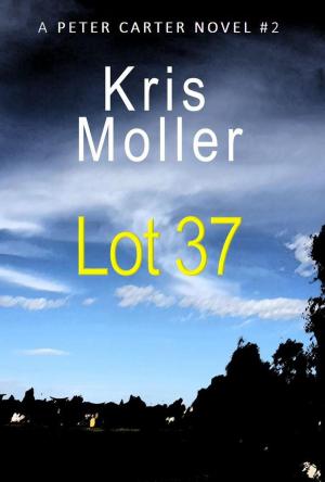 Cover of Lot 37 by KRIS MOLLER, KRIS MOLLER