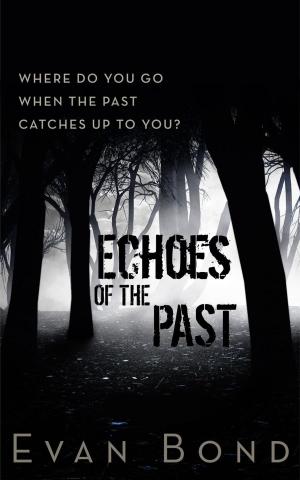 Cover of the book Echoes of the Past by Keith Domingue
