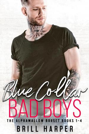 Cover of the book Blue Collar Bad Boys: Books 1-4 by Brill Harper