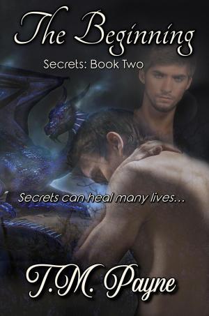 Cover of the book The Beginning: Secrets: Book Two by Heather Ormsby