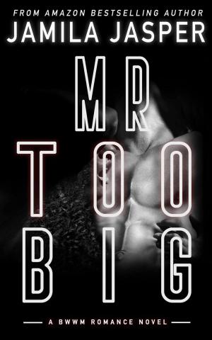 Cover of the book Mr. Too Big: BWWM Hitman Romance Novella by Jamila Jasper