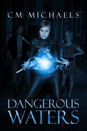 Cover of the book Dangerous Waters by Rachael Rawlings