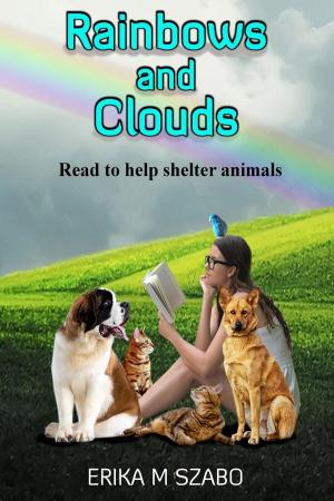 Book cover of Rainbows and Clouds