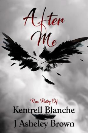 Cover of the book After Me by J Asheley Brown