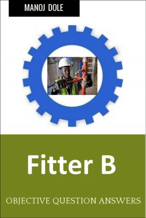 Cover of the book Fitter B by Manoj Dole