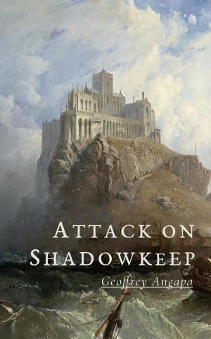 Cover of the book Attack on Shadowkeep by CÉDRIC BLONDELOT