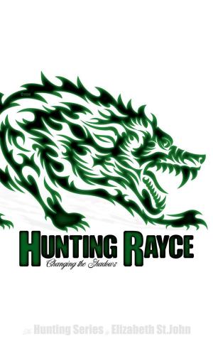 Book cover of Hunting Rayce - Changing the Shadows