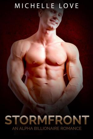 Cover of the book Stormfront: An Alpha Billionaire Romance by Tammy Salyer