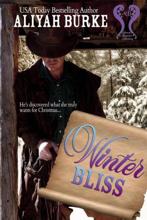 Cover of the book Winter Bliss by Aliyah Burke
