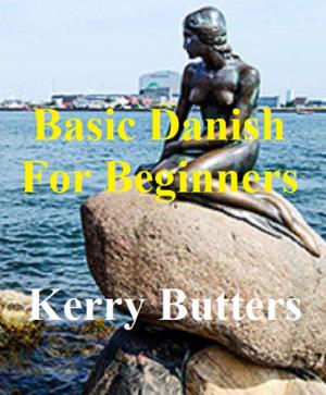 Book cover of Basic Danish For Beginners.
