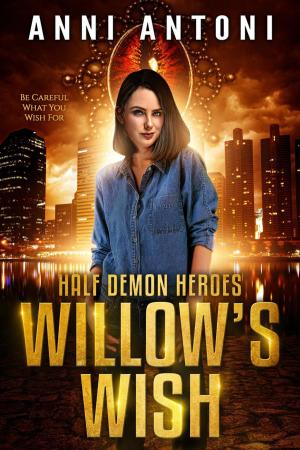 Cover of the book Willow's Wish by Gemma Mawdsley