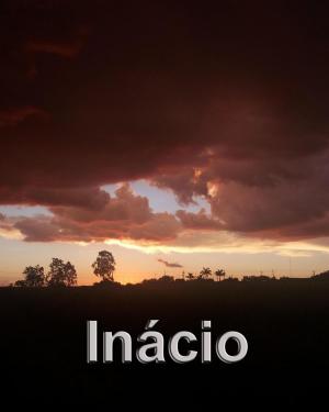Cover of the book Inácio by Hugo Bettauer