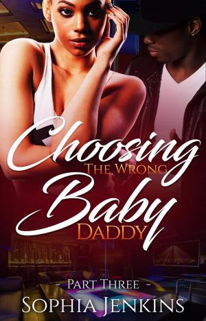 Cover of the book Choosing the Wrong Baby Daddy 3 by Avre Noel