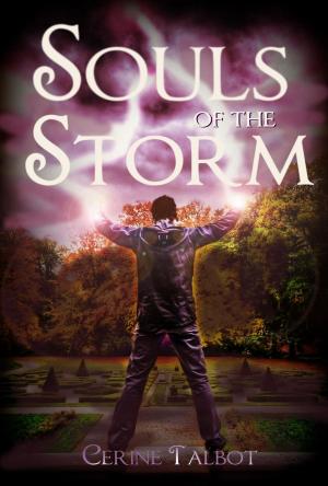 Cover of the book Souls of the Storm by Anna Wolfe