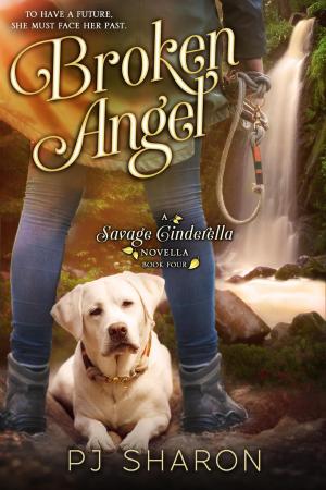 Cover of the book Broken Angel by Marieke Otten