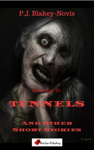 Cover of the book Tunnels & Other Stories by Shawn Hendricks