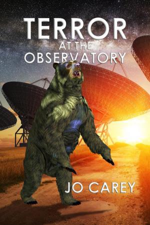 Cover of the book Terror at the Observatory by Jo Carey