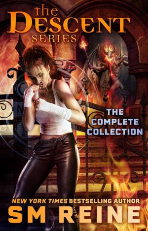 Cover of the book The Descent Series Complete Collection by Simon Cantan