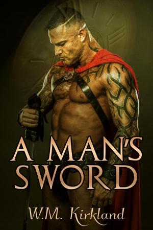Cover of the book A Man's Sword by Mary Caelsto