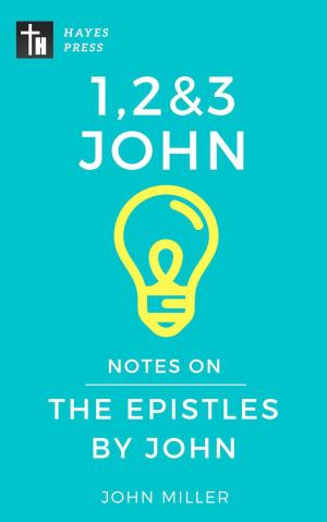 Cover of the book Notes on the Epistles by John by Guy Jarvie