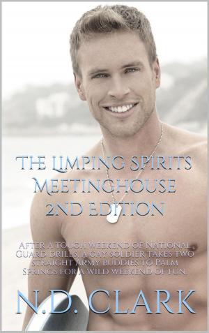 Book cover of The Limping Spirits Meetinghouse