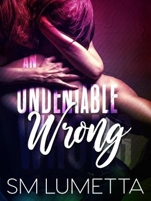 Book cover of An Undeniable Wrong
