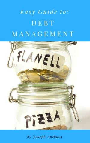 Cover of the book Easy Guide to: Debt Management by James Amber, Janet Amber