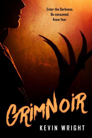 Cover of the book GrimNoir by Claudia Kolla