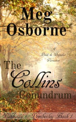 Cover of the book The Collins Conundrum by Caroline Slee