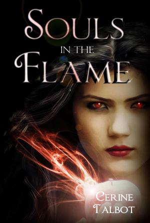 Cover of the book Souls in the Flame by Dino Di Durante