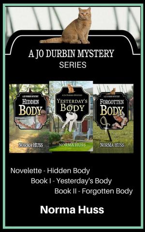 Book cover of A Jo Durbin Mystery Series