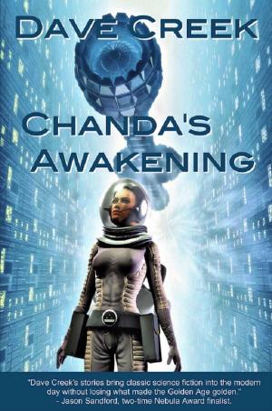 Book cover of Chanda's Awakening