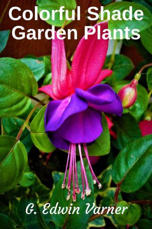 Book cover of Colorful Shade Garden Plants