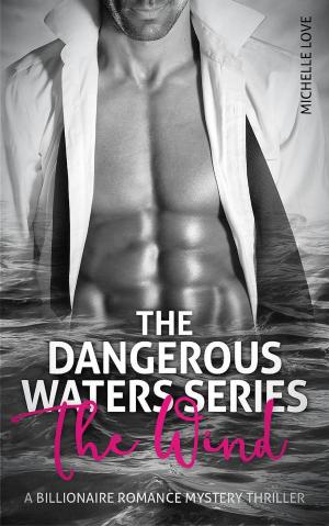 Cover of the book Dangerous Waters by C. A. Zraik