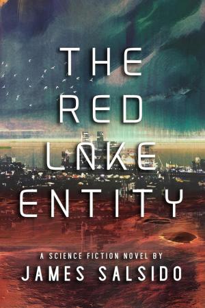 Cover of the book The Red Lake Entity by Mia Jones