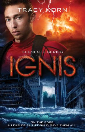 Cover of the book Ignis by Mindy Klasky