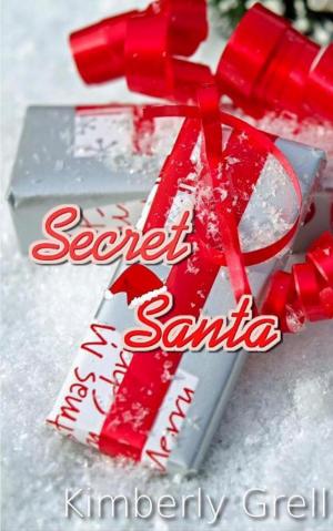 Cover of the book Secret Santa by Kimberly Grell