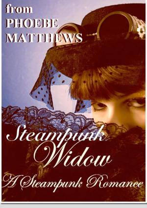 Cover of the book Steampunk Widow by Phoebe Matthews